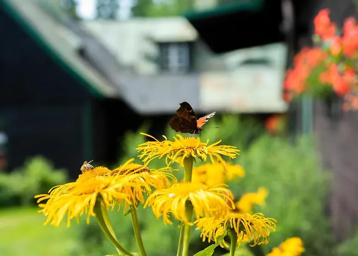 公寓 Anna 斯克拉斯卡波伦巴