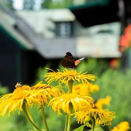Apartmán Anna Sklářská Poruba