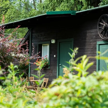 Anna شكلارسكا بوريبا