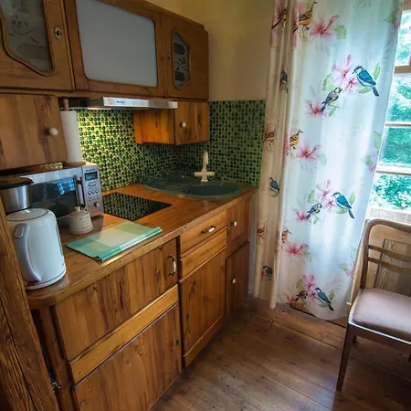 Anna شكلارسكا بوريبا