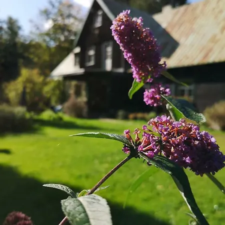 Anna شقة شكلارسكا بوريبا